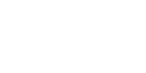 Logo-menegatti