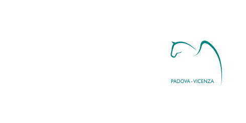 Logo-pegaso